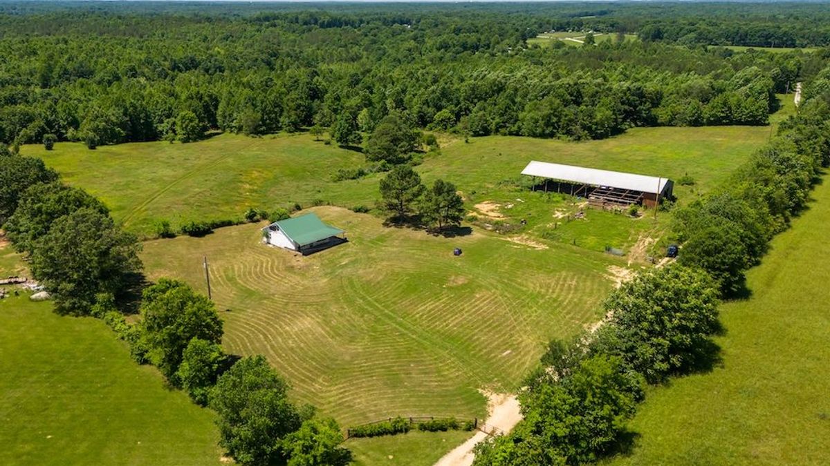 Buildable Farm With Pasture, Creeks And Mixed-Timber | Whitetail Properties