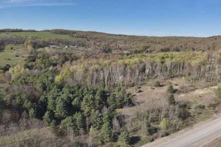 Meadow Road 　牧草地の道 田舎道の静かな牧草地 | NSWの休日と宿泊施設、アクティビティ