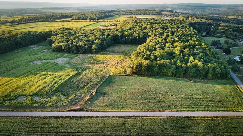 Copy of Wood Tract 4 Photo 18