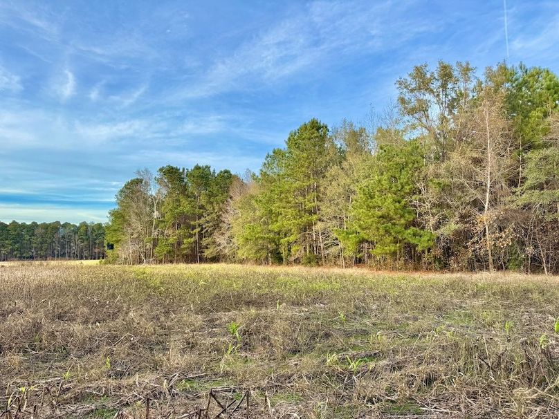 273523E1-EA6D-4747-B314-AD64A4676133