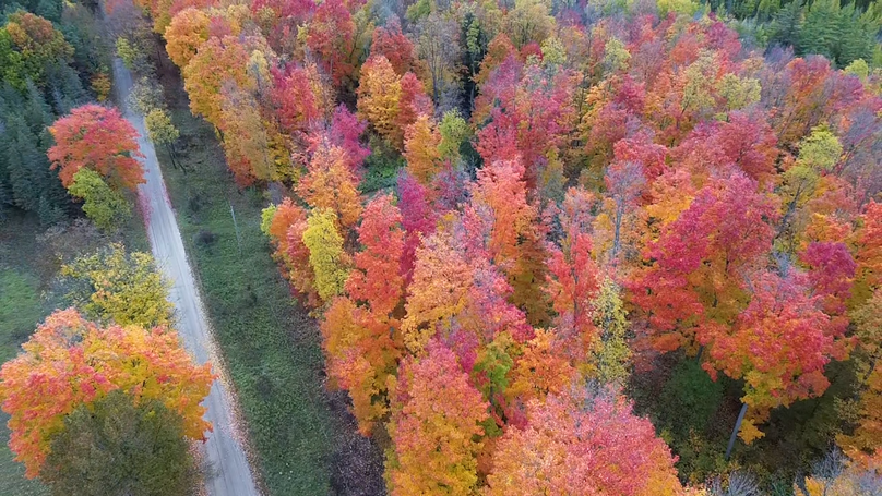 2023-10-23-13-57-10-797