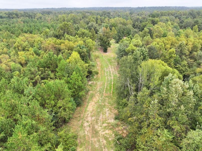 dji_fly_20250924_092330_0513_1758726293482_photo