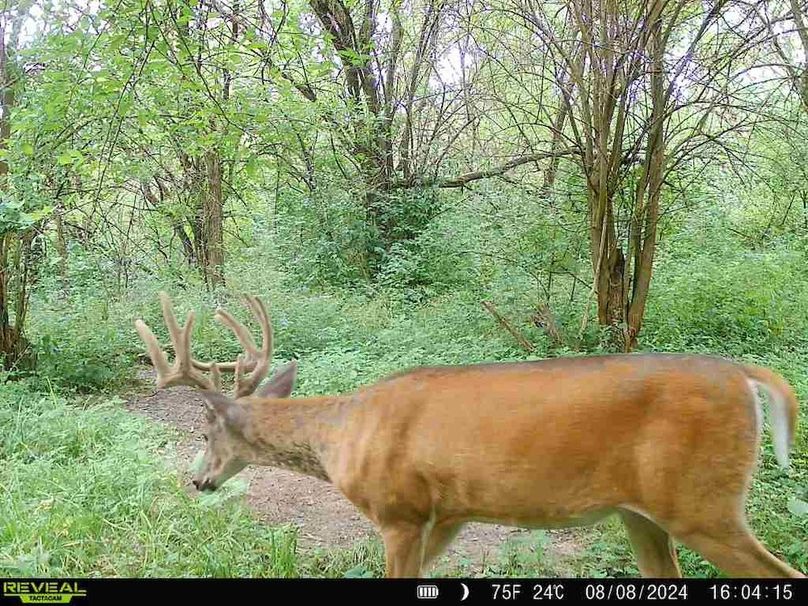 860322062166886-100-3-08082024160416-V-W1001732