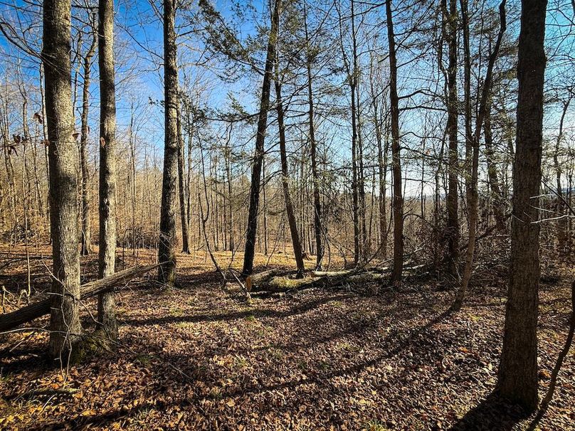 Chemung_31.75_Seymour_South_Photos_18