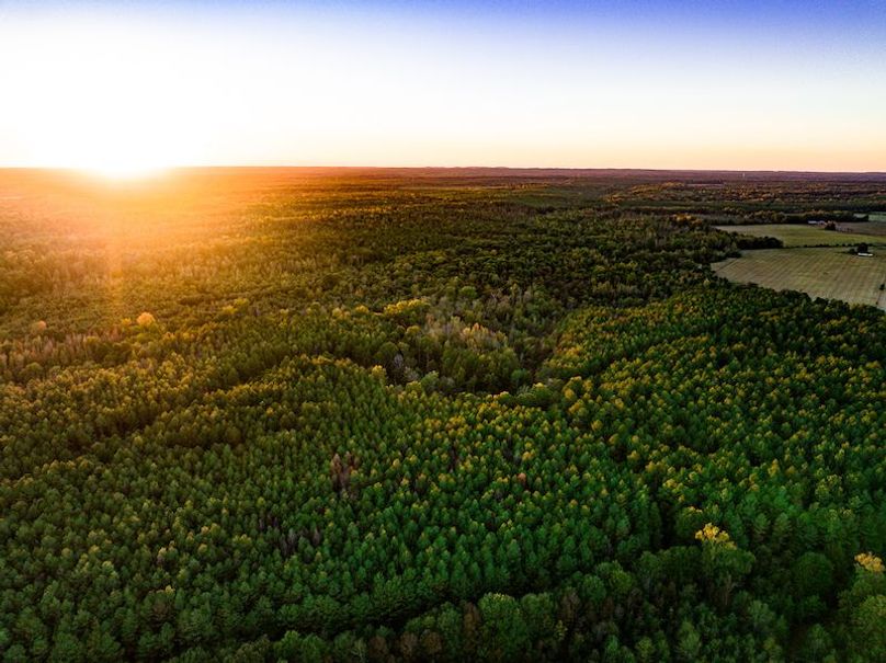 Clay 302.7 Henderson-50