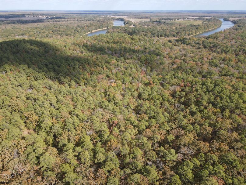 93D3C9C1-D17E-42BE-A319-FE2C489D0C5D_1_102_o