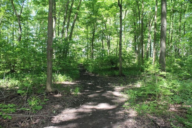 trail 30