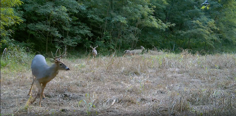 Screenshot 2025-09-24 at 2.55.40 PM