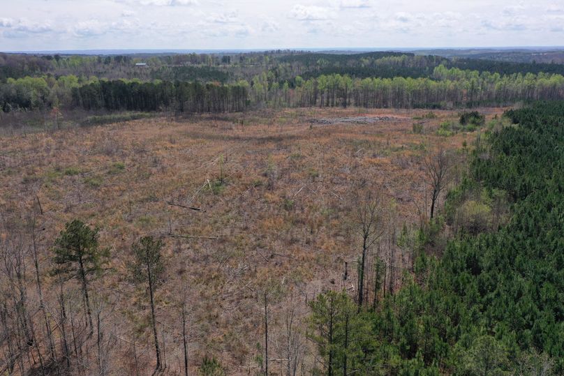 Copy of 200ftCardinal-6