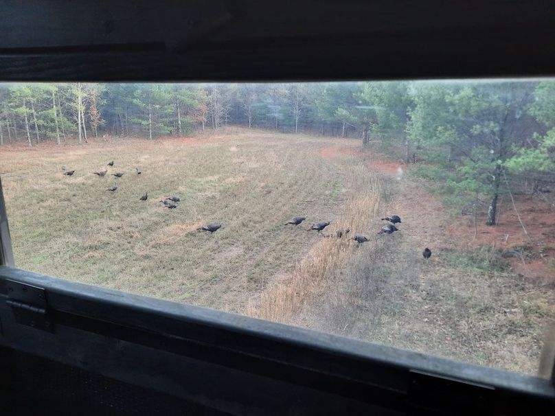 _storage_emulated_0_DCIM_Camera_20211105_162957