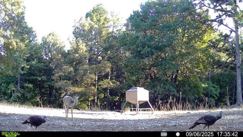 016578004181175-100-4-09062025173542-SYFW00046