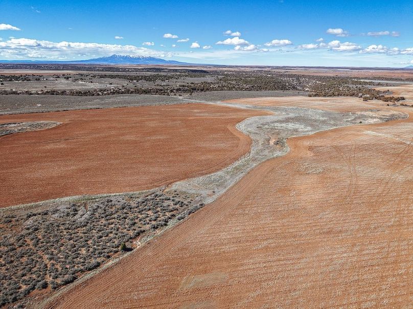 DJI_20260307140552_0097_D