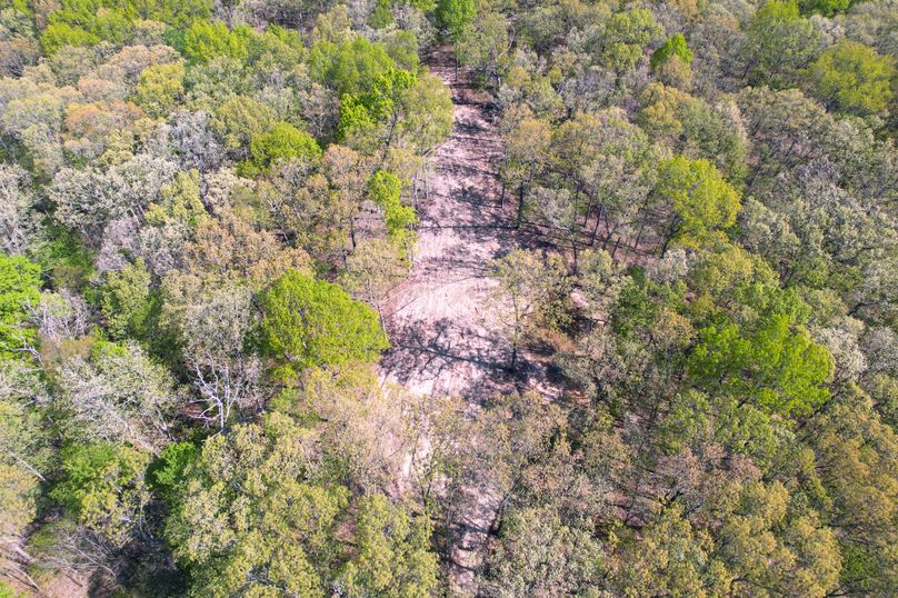 DJI_0511