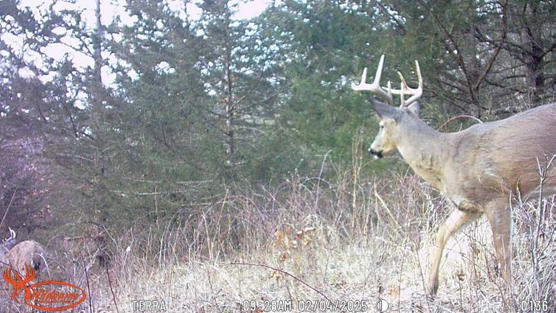 TRAIL CAM 14