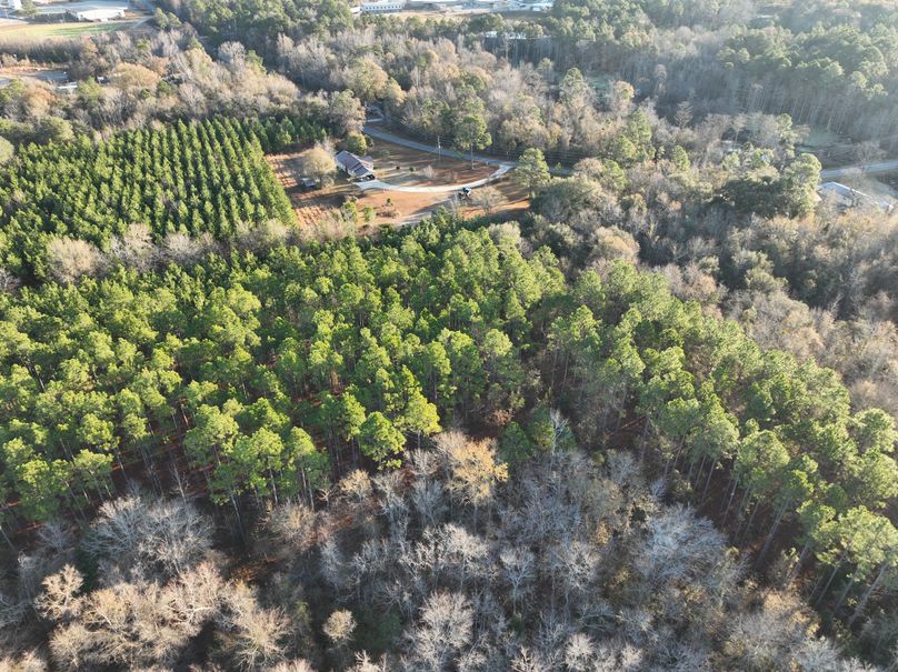 dji_fly_20231229_082830_990_1703856659090_photo