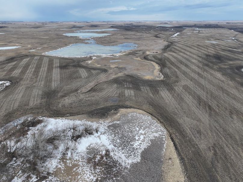 DJI_20260216150233_0087_D