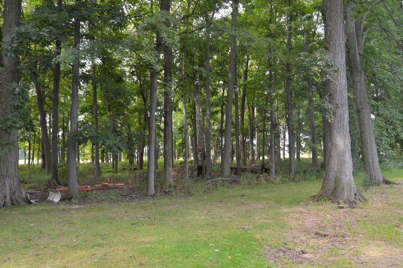 View looking from house