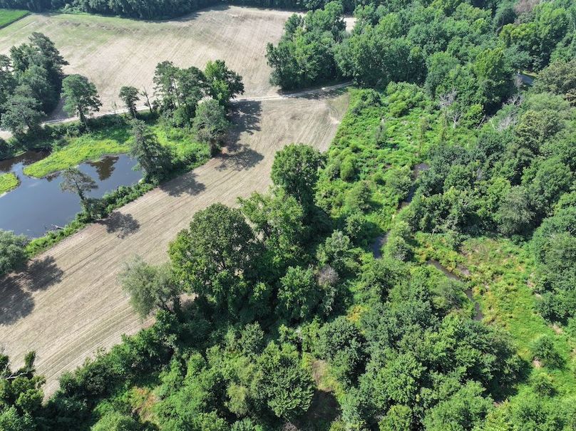 Copy of DJI_20240716105720_0036_D