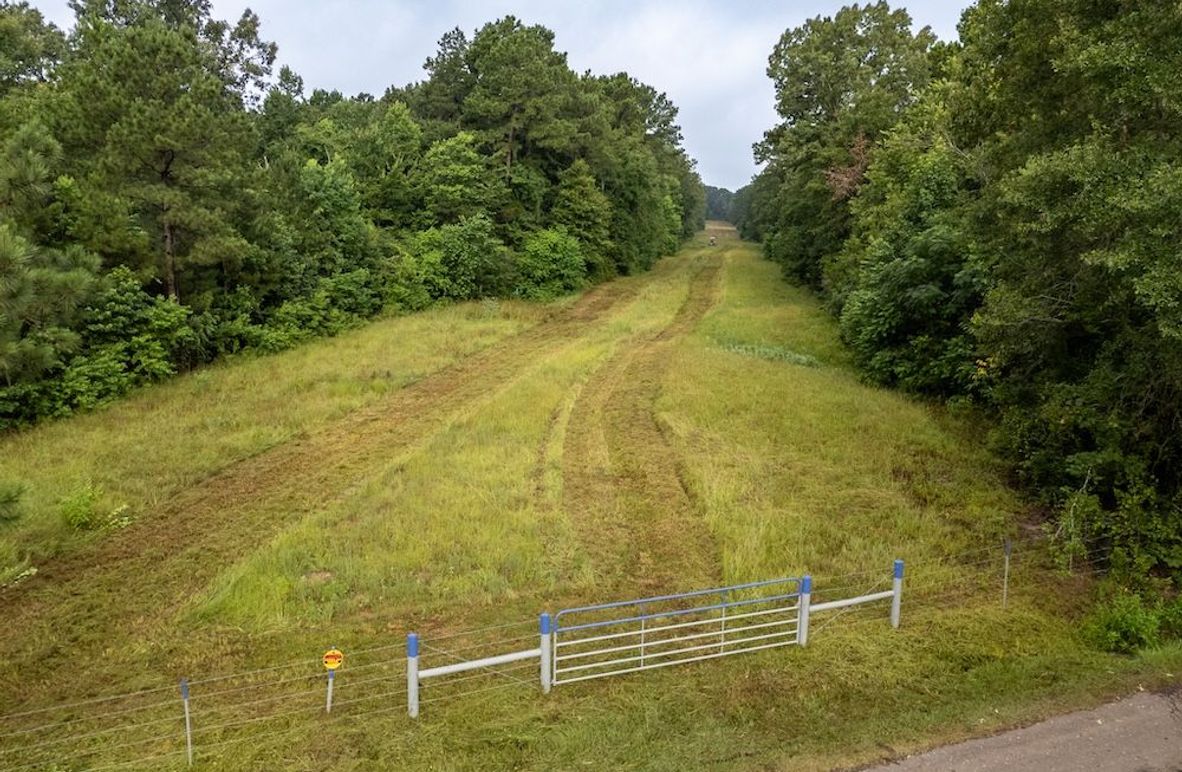 2 Panola Co. 40ac - Rouse-26