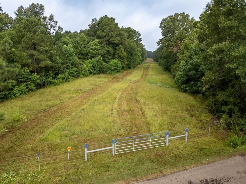 2 Panola Co. 40ac - Rouse-26