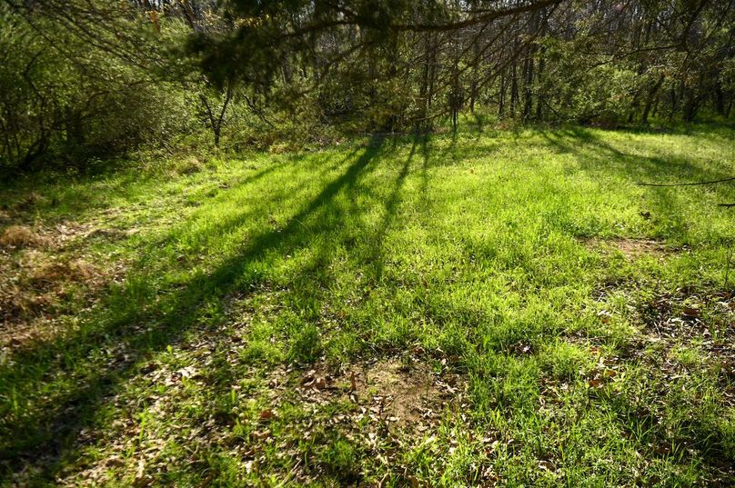 vandalia 450 (2)-2459