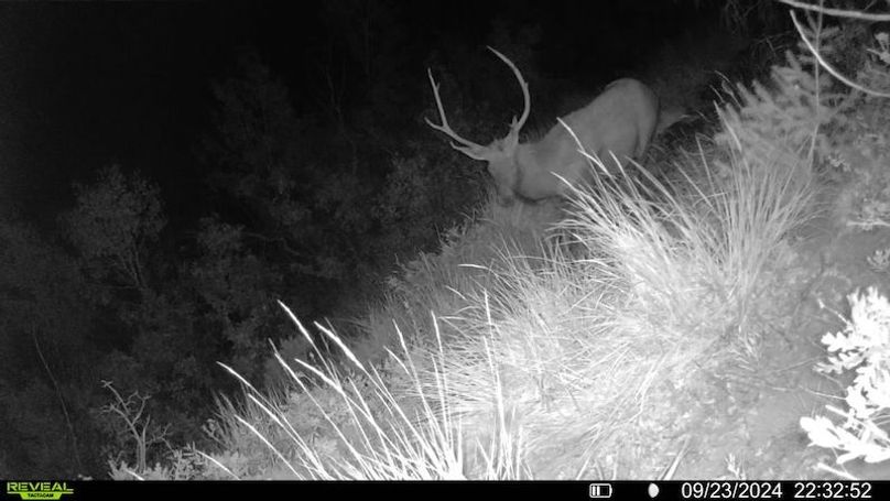 016578000756376-31-4-09232024223252-SYFW00057