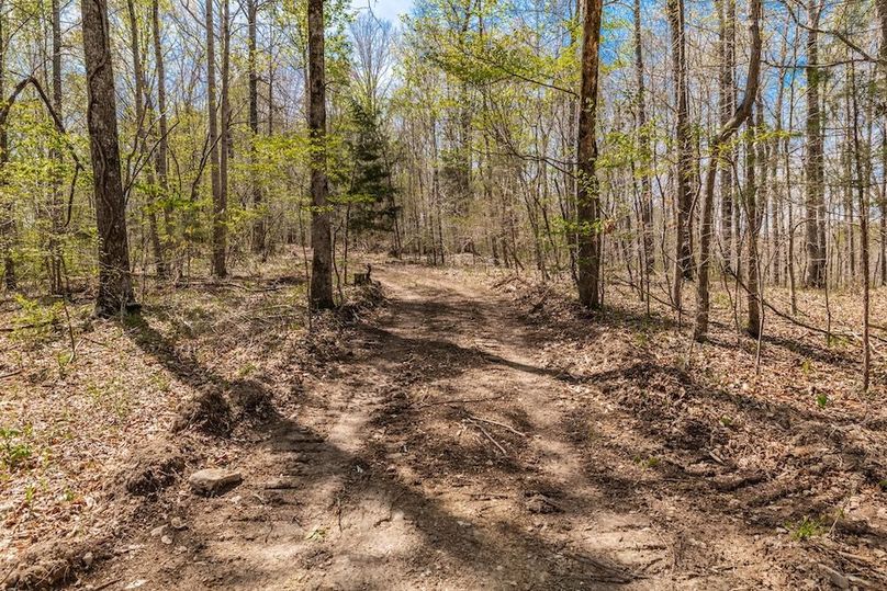 37-web-or-mls-0 Mound Creek Rd-7
