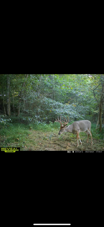 trailcam12