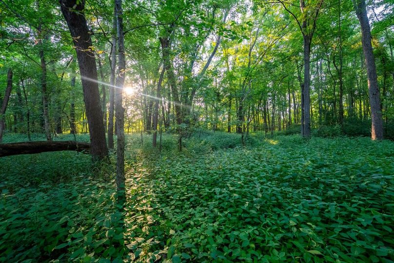 Copy of DSC06238 Large