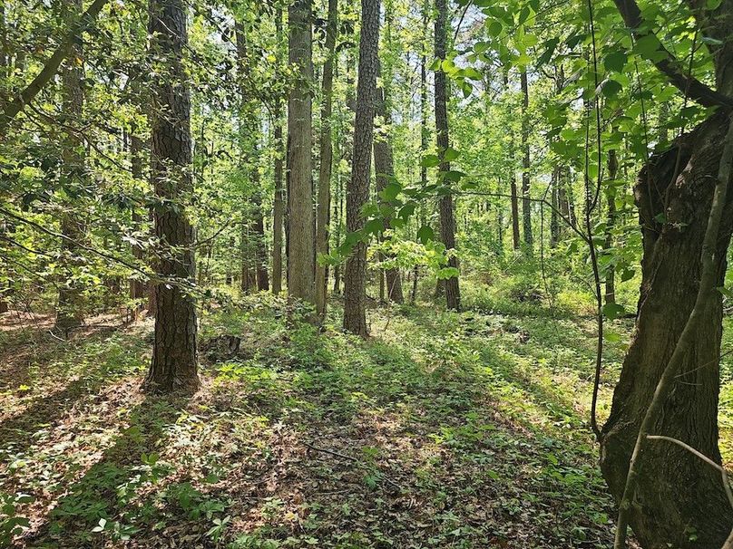 2.72ac_St Marys Rd_QAnnes_18