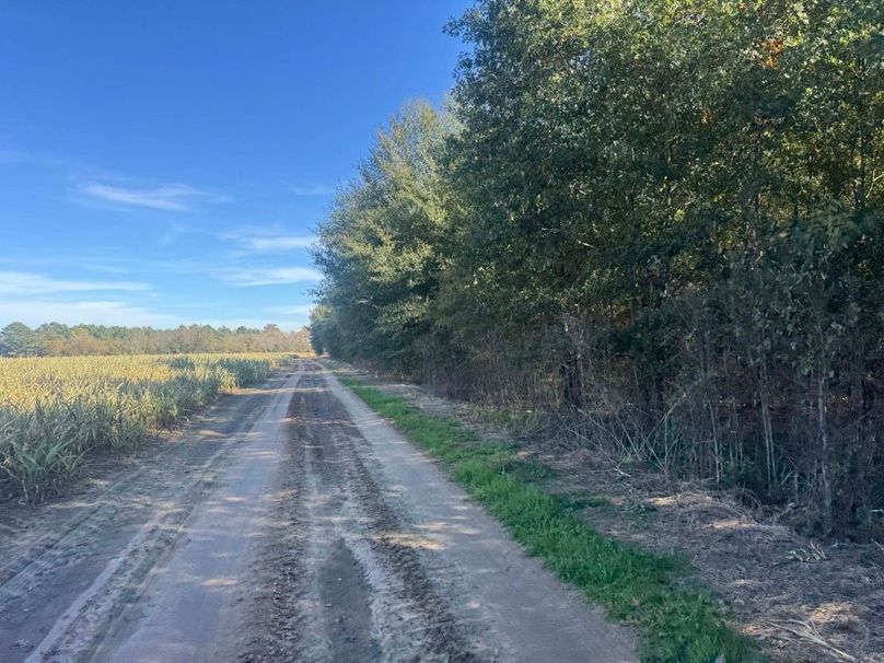 1a1 jeff 8320251111_0258