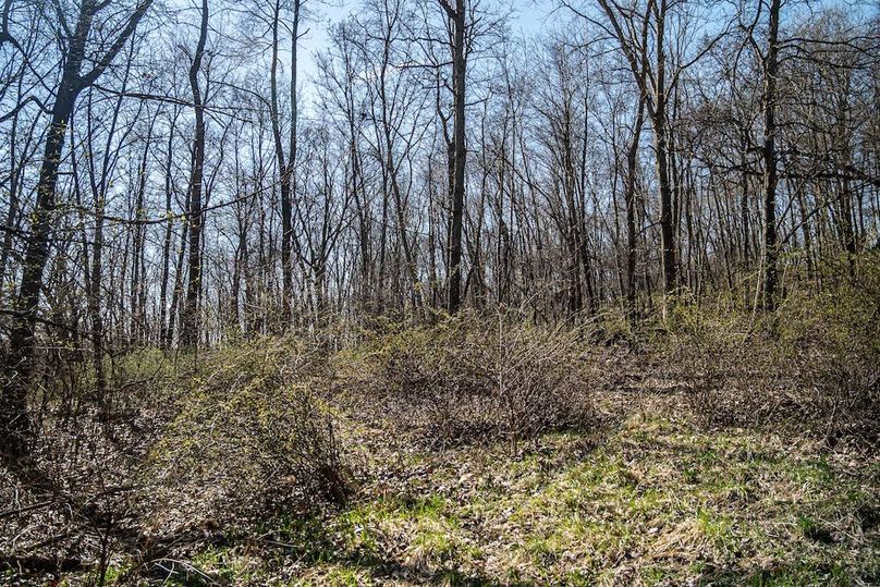 Jo Daviess IL 23.5_15