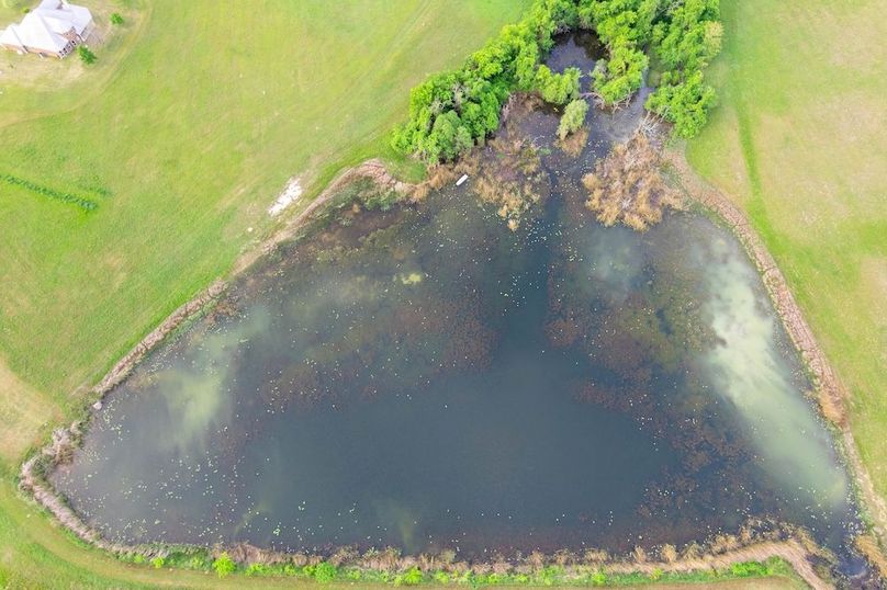 Lamar County- 89.8 acres-53