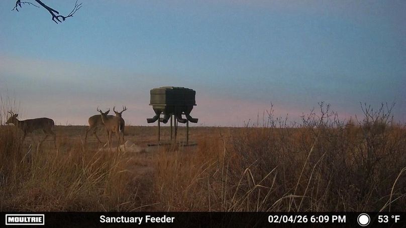 Temp_876933-20260205002230-100MFCAM_MFDC6387