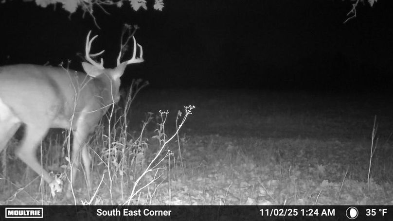 Trailcam10