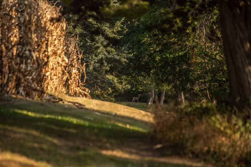 FREMONT CO. IA 158.32_25