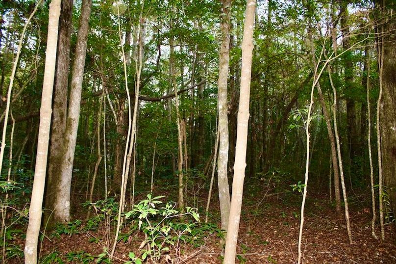 6504E5B7-616C-467D-AA95-522EF1F56621_1_105_c