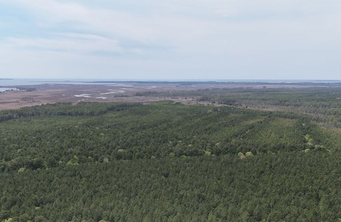 dji_fly_20250424_133240_0026_1745526017671_photo