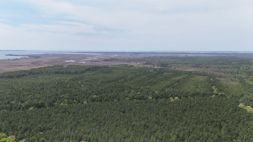 dji_fly_20250424_133240_0026_1745526017671_photo