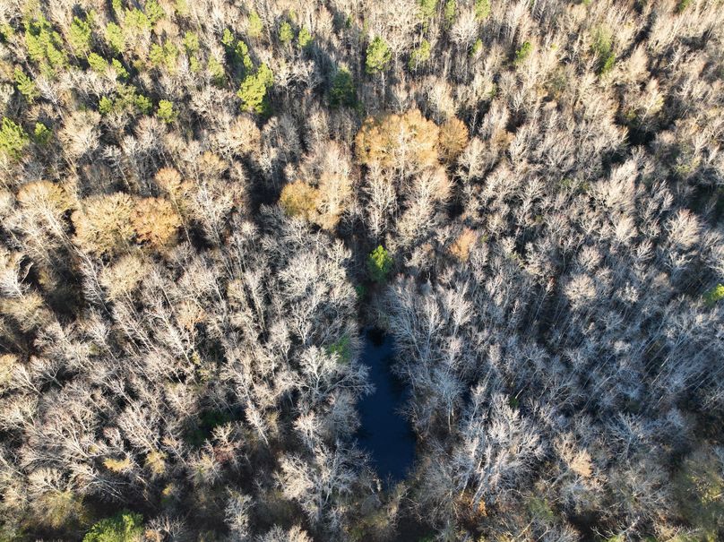 dji_fly_20231229_082808_987_1703856671396_photo