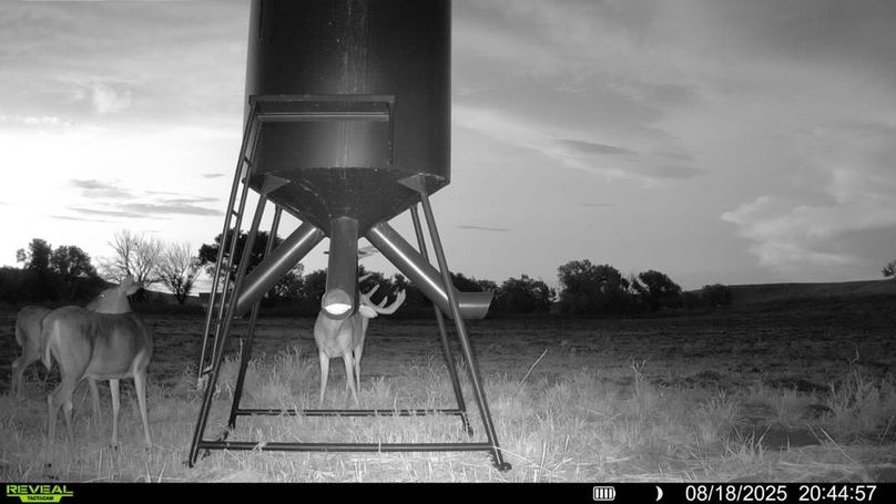 016579004651498-100-2-08182025204457-SYFW00941