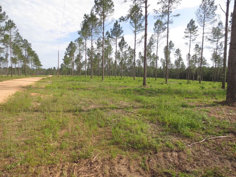 16DA3C47-FDD4-46AF-A93D-7655D6F06373_1_105_c