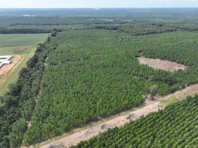 dji_fly_20230905_114040_628_1693928738282_photo