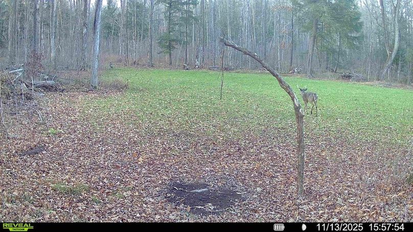 016579004341785-90-3-11132025160328-HD-SYFW00780