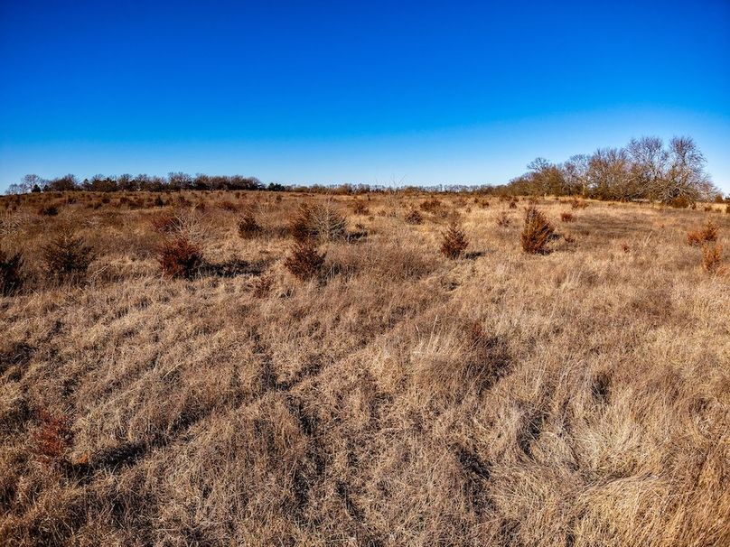 DJI_20260119145017_0838_D