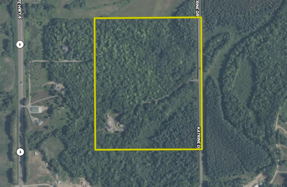 Screenshot 2025-06-04 at 7.41.08 AM