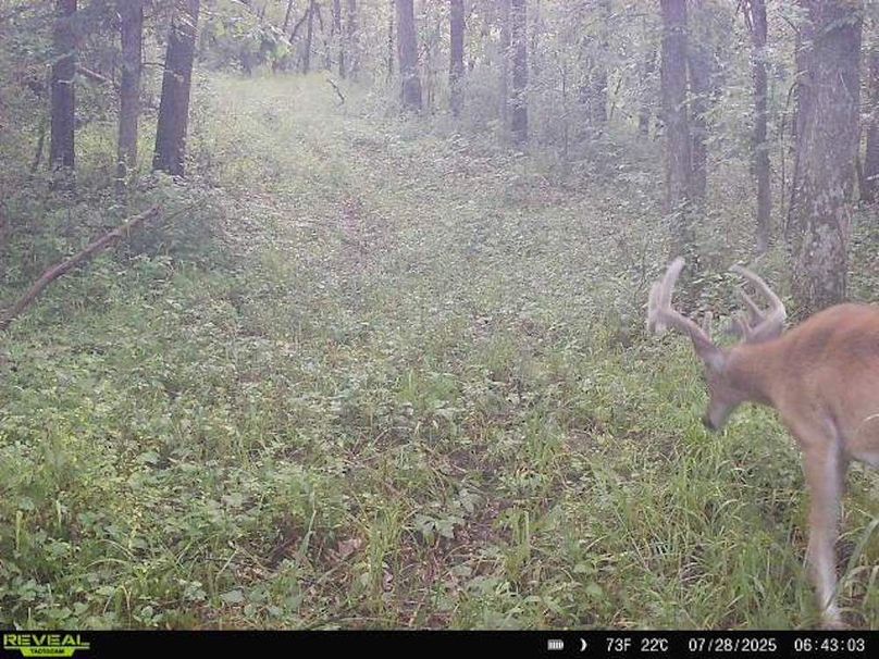 864049057646228-80-3-07282025064302-W1011551