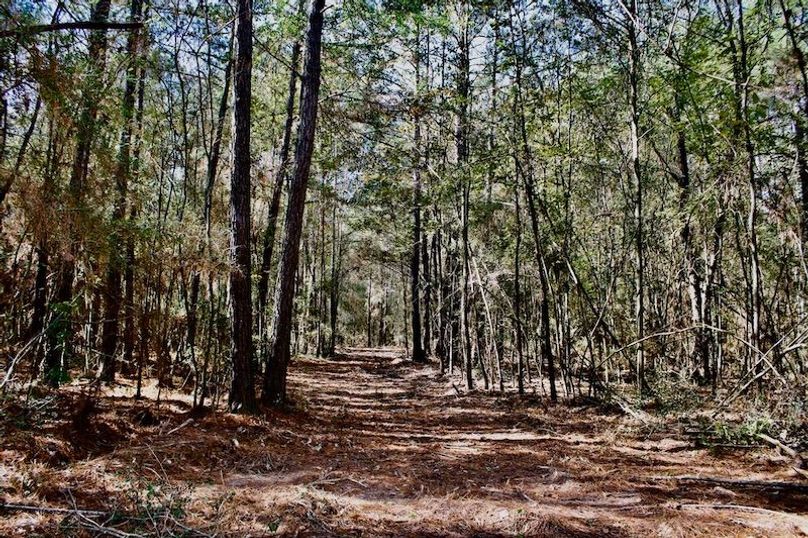 CF7D123E-7FAF-403F-A228-BEF7364F7843_1_105_c