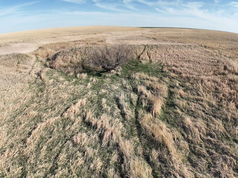DJI_0395