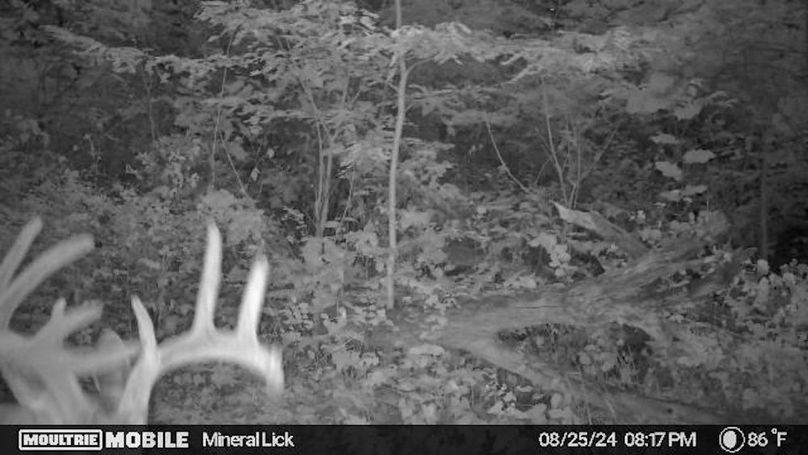 image638602837072765640